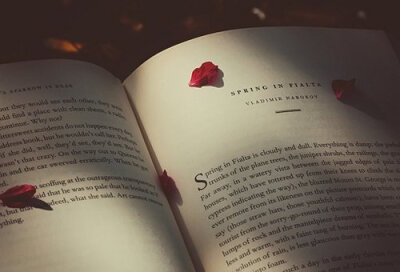 书中自有颜如玉