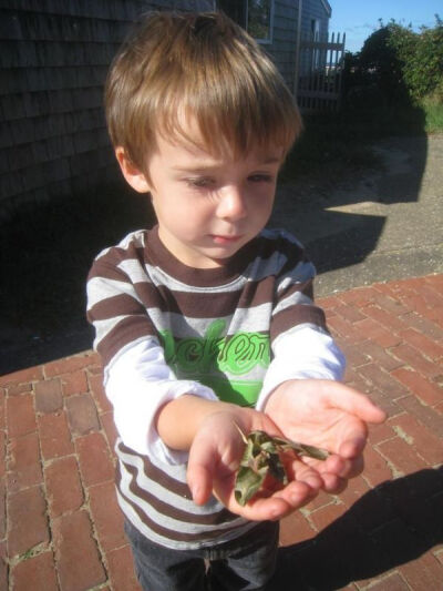 多有爱啊。。。