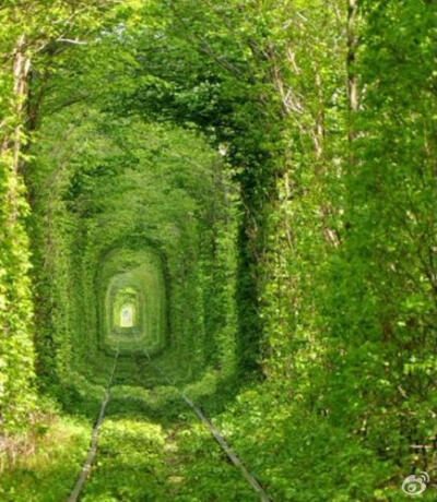 这世间总有一处纯粹，为你而生——乌克兰某个火车隧道~ 很养眼！~