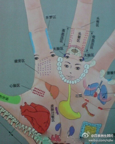 手掌穴位。