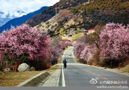 西藏 多美的景