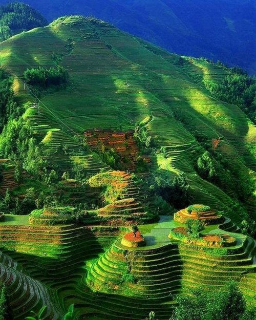 Terraced Rice Fields, China 照相技术很重要啊。。不过真的美歪了……