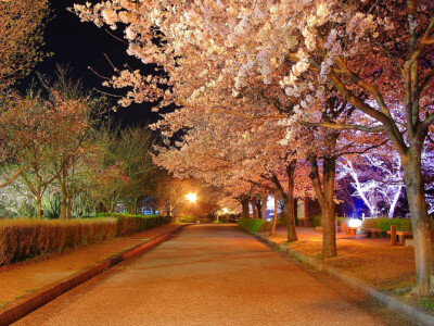 夜晚的光景~~~