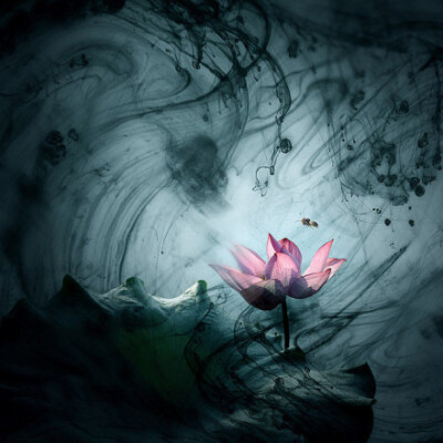 爱像水墨青花，何惧刹那芳华!