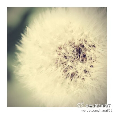 流动的光影，生命的姿态