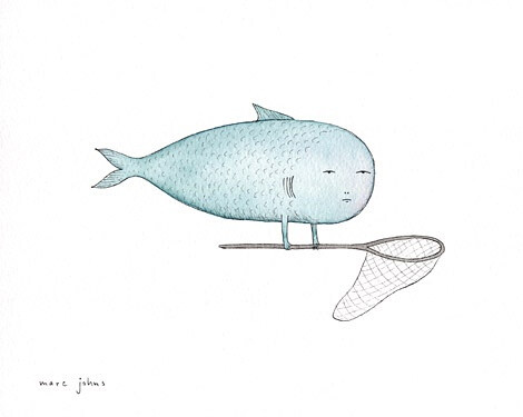 fish and net