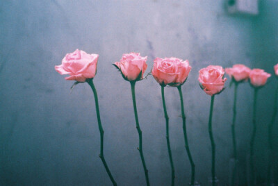 。。。。。。。。。