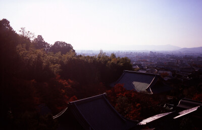 京都圆光寺