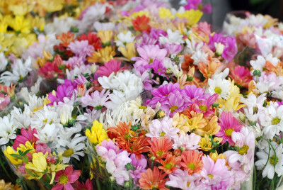 Dimasalang flower market