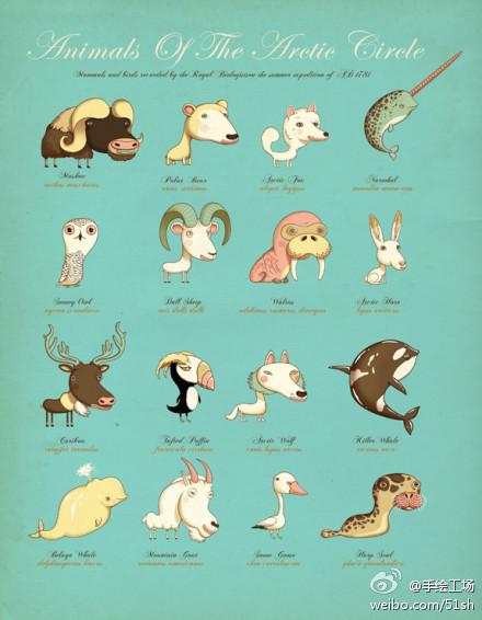 animals of the arctic circle