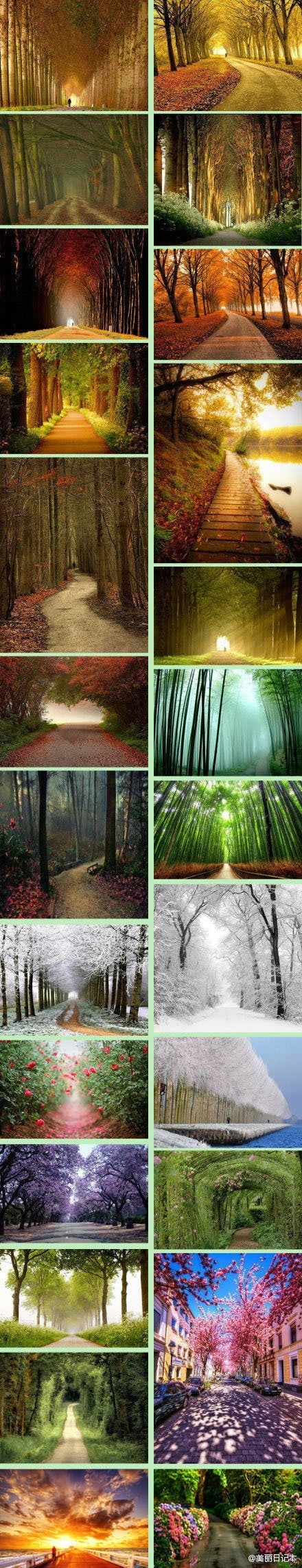 那些美丽的小路。