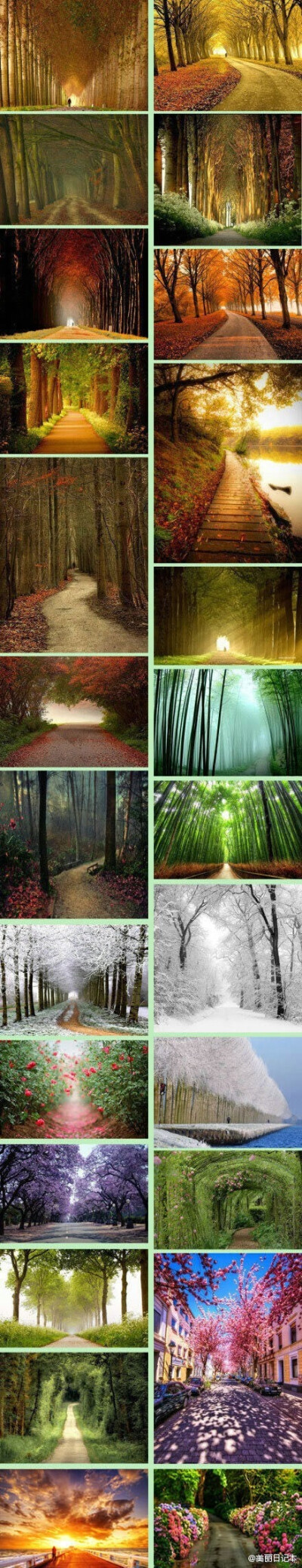 那些美丽的小路。