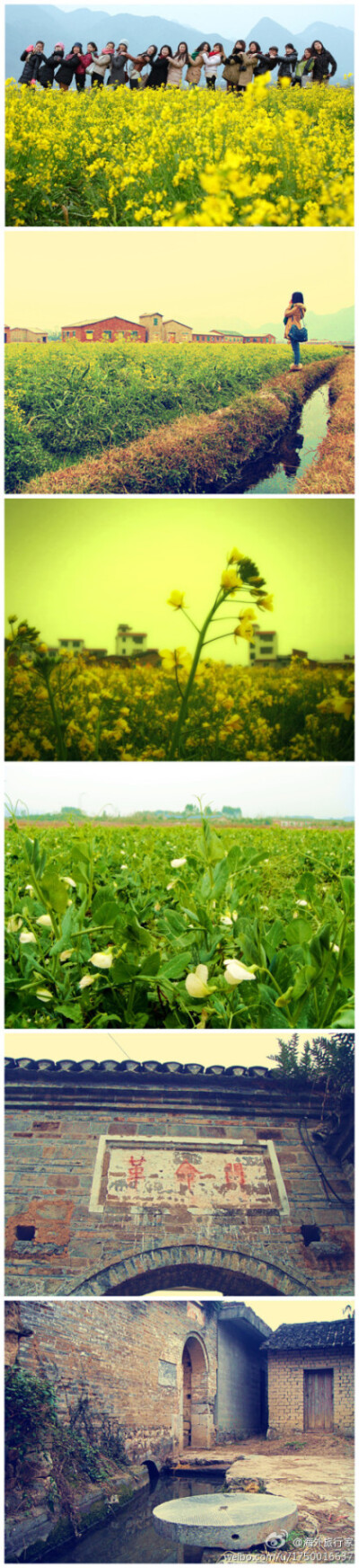 桂林大圩熊村油菜花已然盛开，访古镇赏花海沉醉不知归路。赶快行动吧！面朝大海，风景就在路上。