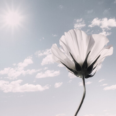 我很喜欢蓝蓝的天，白白的云。