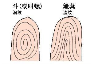 小时候，常听外婆说：“一斗穷二斗富，三斗四斗卖豆腐，五斗六斗开当铺，七斗八斗把官做，九斗十斗享清福。”，数数，你的手上有几个斗呢？