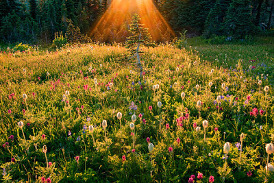 美国摄影师：Ian Plant http://www.ianplant.com/