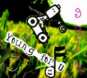 young for you gala