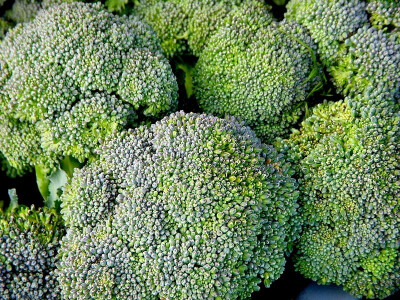 broccoli 西兰花