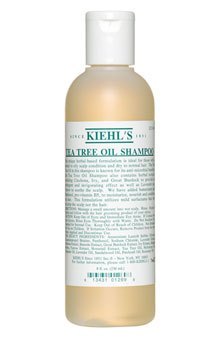 Kiehl's契尔氏/科颜氏/茶树油洗发乳Tea Tree Oil Shampoo