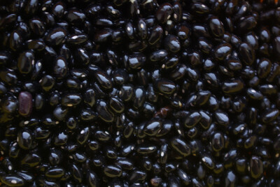 black bean 黑豆