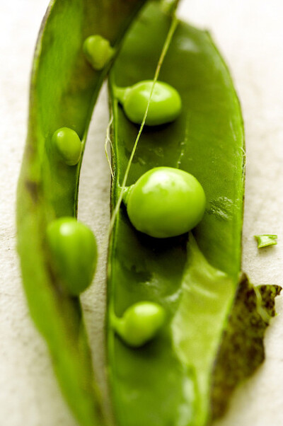 pea 豌豆，pod 豆荚