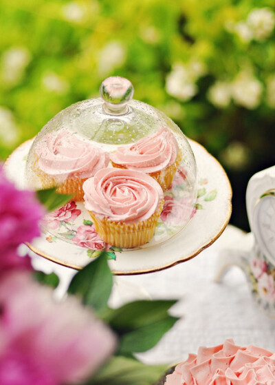 Vanilla Rose Cupcakes