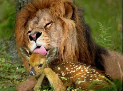 到底是品尝还是爱抚