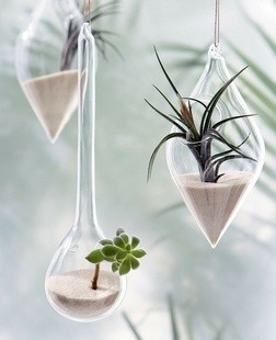创意橄榄形设计唯美玻璃花器