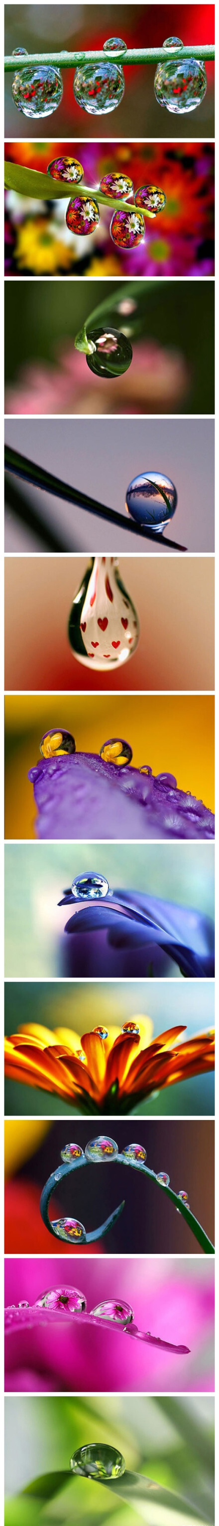 各种美丽水滴照片图片