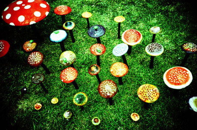 magic mushrooms from lomo