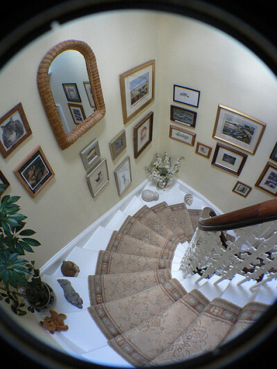 lomo fisheye adapter