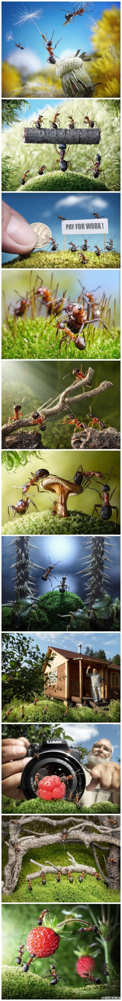 蚂蚁"微生活"
