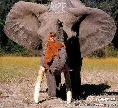 她叫TIPPI，是个法国小女孩，1990年生于非洲的纳米比亚，从小跟随拍摄野生动物的父母在丛林中长大，这本摄影集记录了她和动物间的故事。