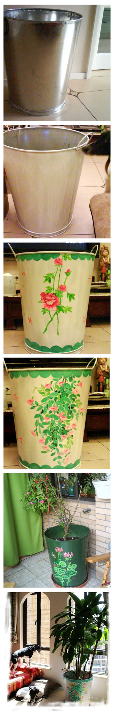 自己动手，DIY一个漂亮的铁皮桶。白铁桶是画了图去百铁铺打的，拿回家喷漆，然后画花，让后就可以种植了~