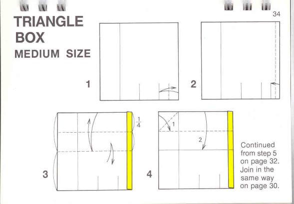 Triangle Box Medium Size