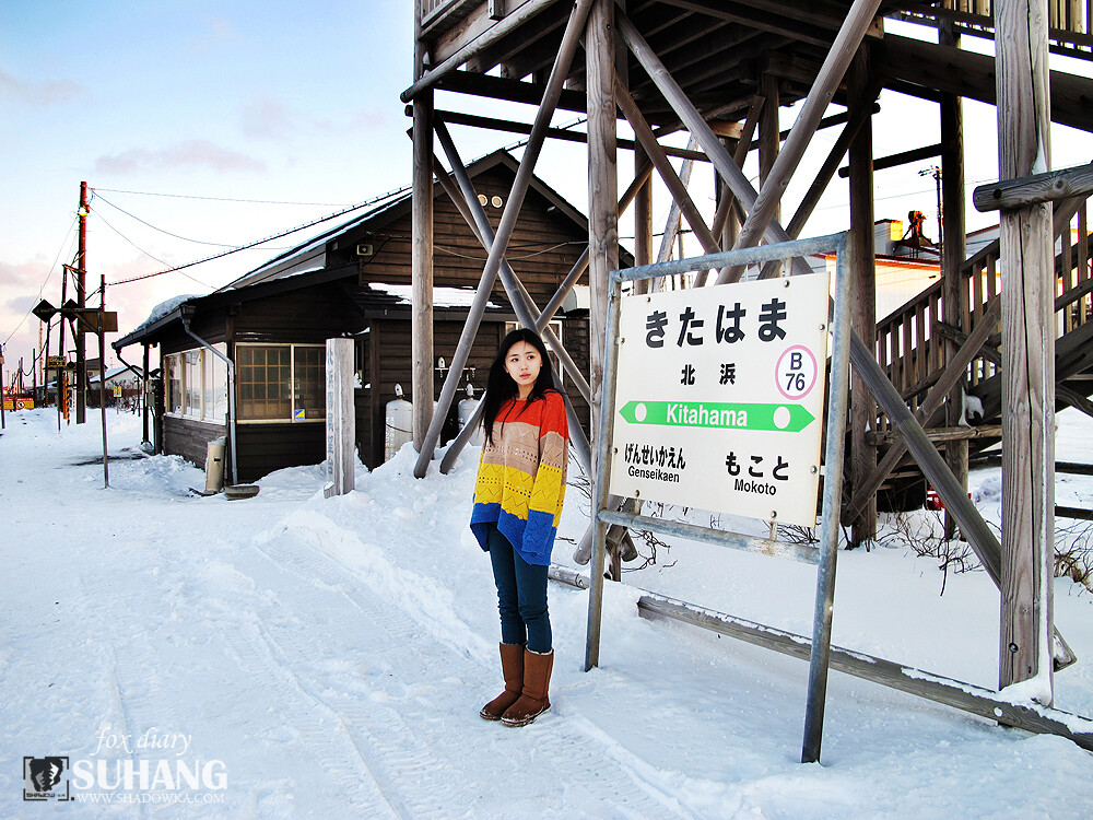 狐尘日记V 北海道 Fox Diary of Hokkaido