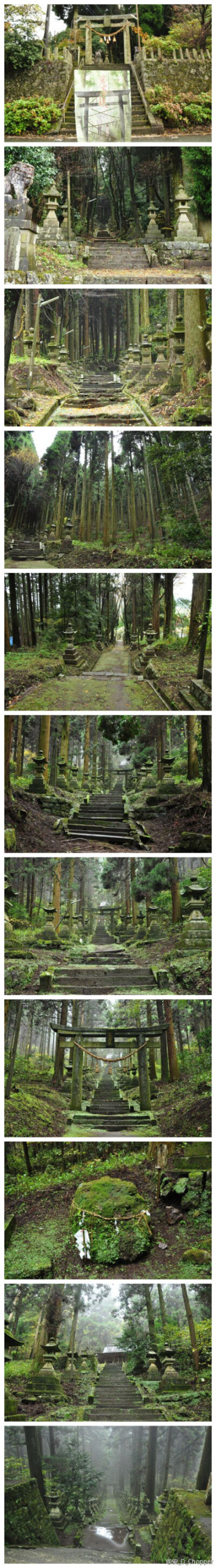 萤火之森的舞台地点----上色見熊野座神社