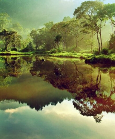 【印尼】,Situ Gunung湖的早晨
