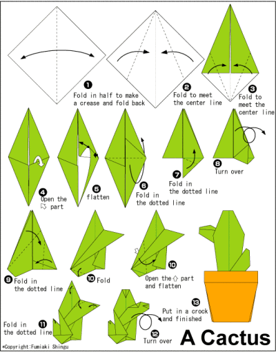仙人掌的折法