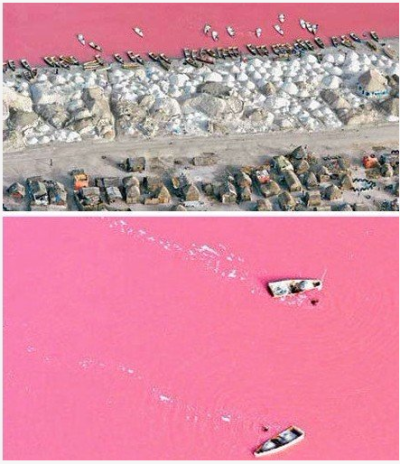 【最浪漫的湖】塞内加尔的玫瑰湖是一片令人沉醉的粉红。这湖中嗜盐微生物的杰作。随着湖水含盐度的变化，它的颜色呈现出从淡绿到深红的色调。每年12月到次年1月，是它最美的时候，由于阳光和水中的微生物以及矿物质…