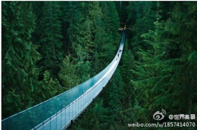 建于1889年, 世界最长最高的步行天桥——温哥华卡普兰奴吊桥，想不想去走走~