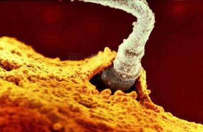 人之初（25图）