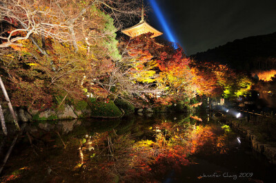 京都清水寺夜楓