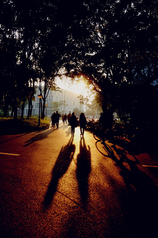 深圳大学 黄昏