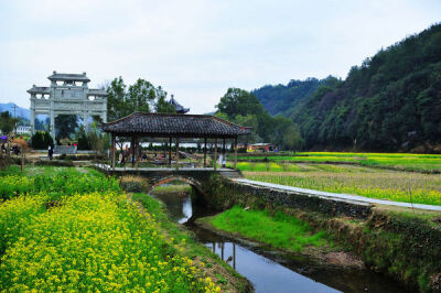 婺源油菜花。三月、四月为赏花期。