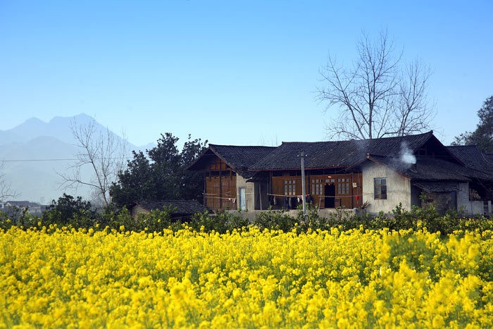 高椅古村位于湖南省会同县境内的巫水河畔花田簇拥的小村庄
