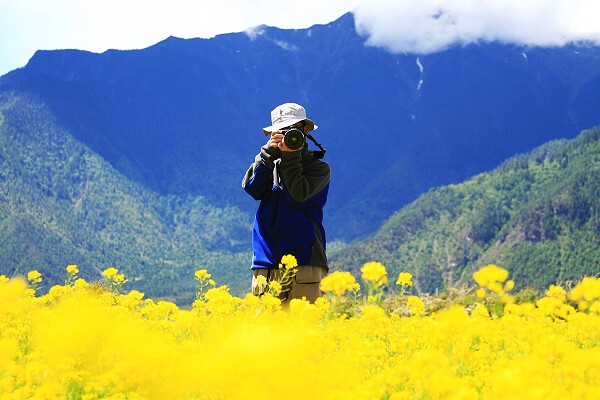 观赏地点：中国西藏自治区东南部林芝县 观赏时间：每年7月上旬到8月末