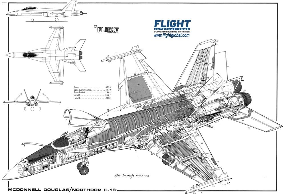 McDonnell Douglas F/A-18 Hornet Australian "大黄蜂" 战斗机