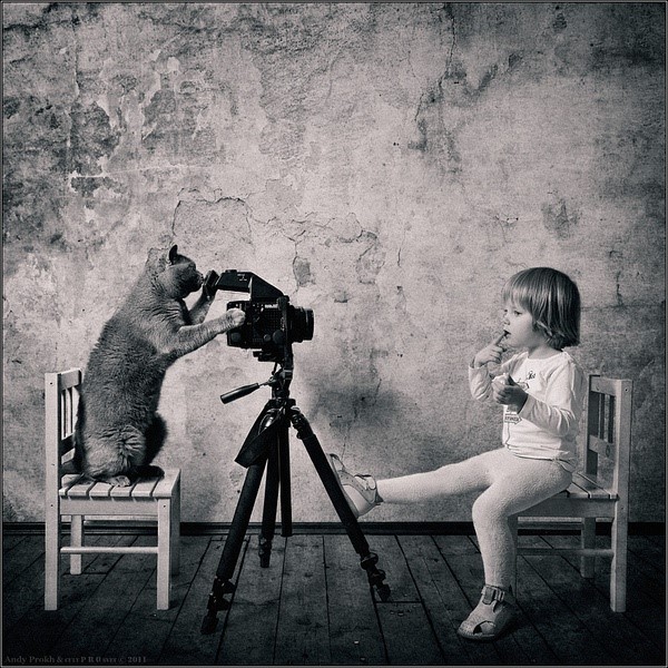 这只英国短毛猫的名字叫TOM，已经很出名了。TOM从小主人一出生就一直陪伴着一起玩耍和成长，可以给这个系列取个名字：《We trust in love》。摄影师Andy Prokh，1968年生人，擅长拍摄黑白人像。