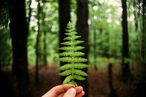 人物 摄影 旅行 植物